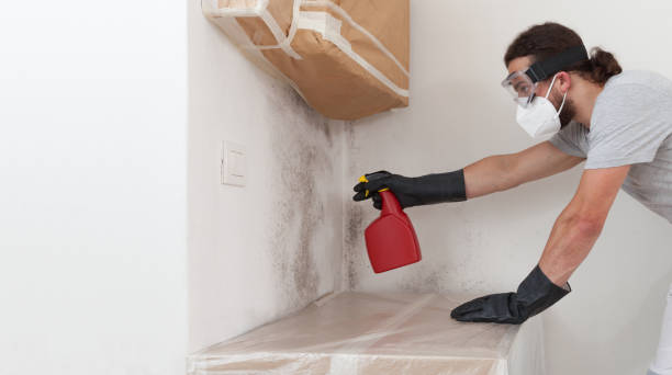 Professional Basement Mold Remediation technician working in Akron, NY