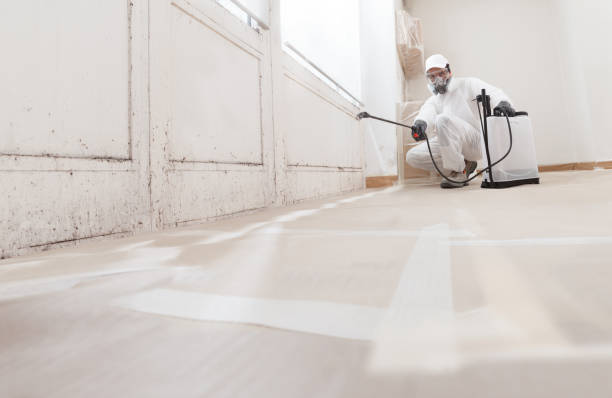 24/7 Emergency Basement Mold Remediation experts in Akron, NY